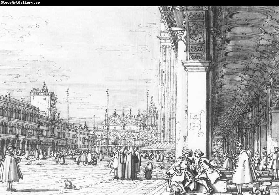 Canaletto Piazza San Marco: Looking East from the South West Corner  dfd