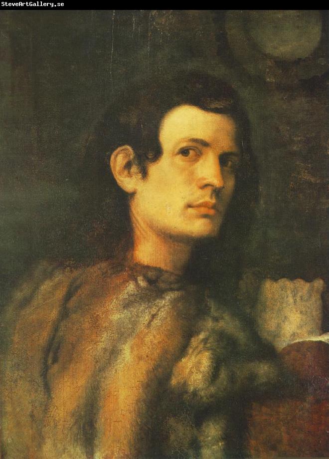 Giorgione Portrait of a Young Man dh