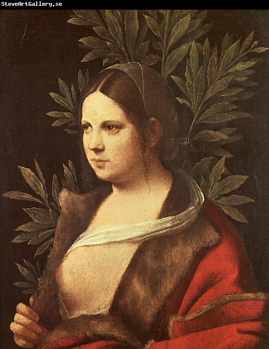 Giorgione Laura