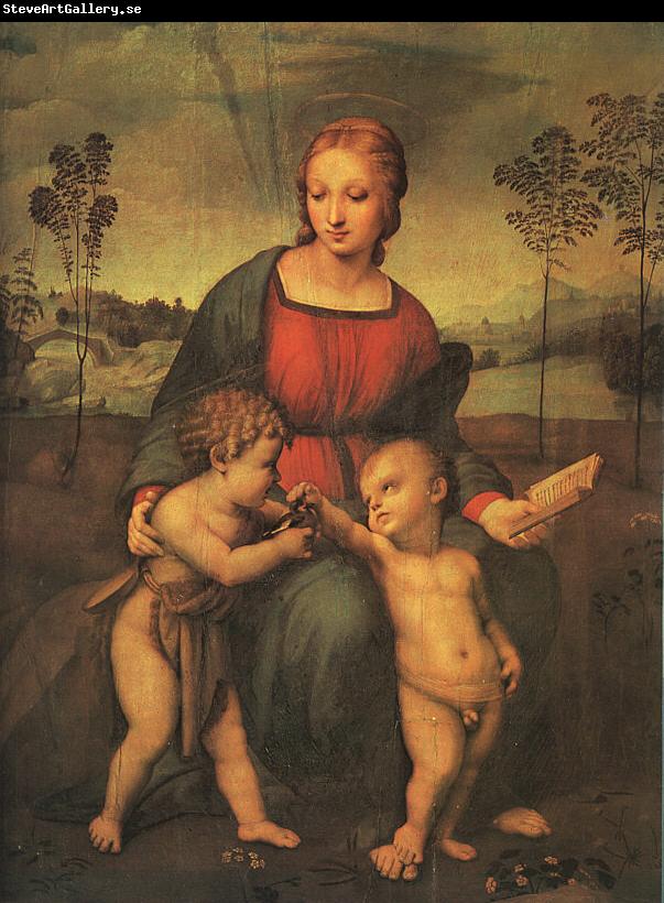 Raphael Madonna of the Goldfinch