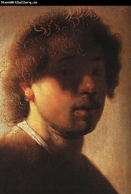 Rembrandt Self Portrait  ffcx