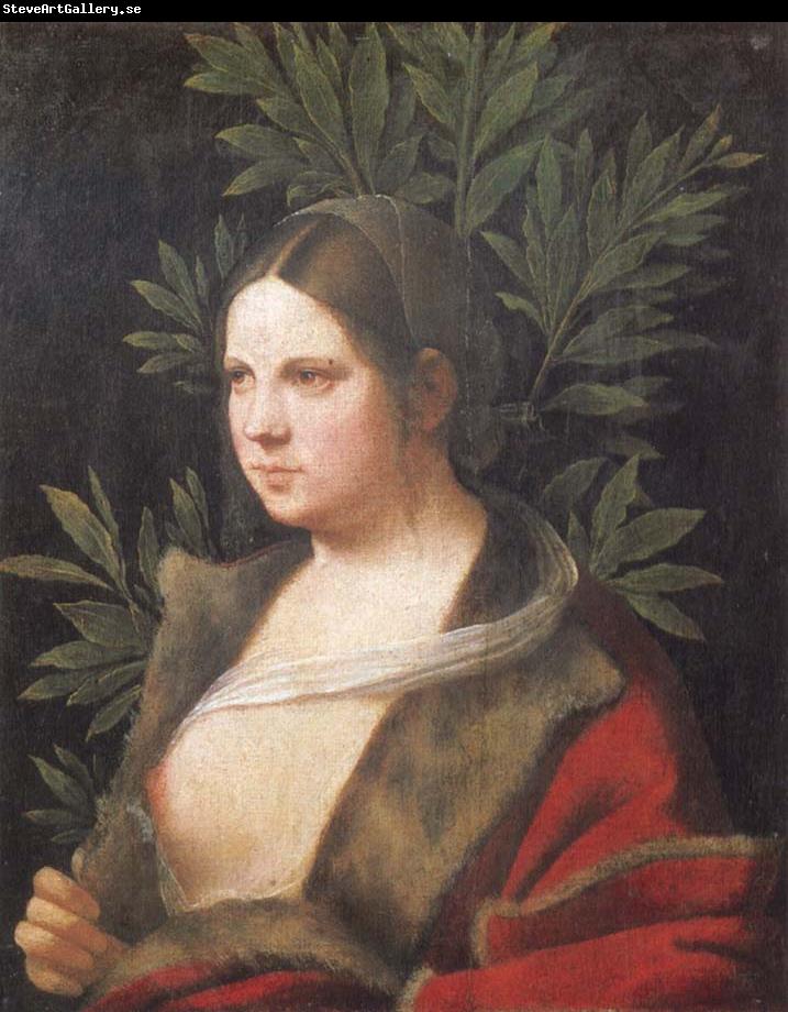Giorgione Portrait of a young woman