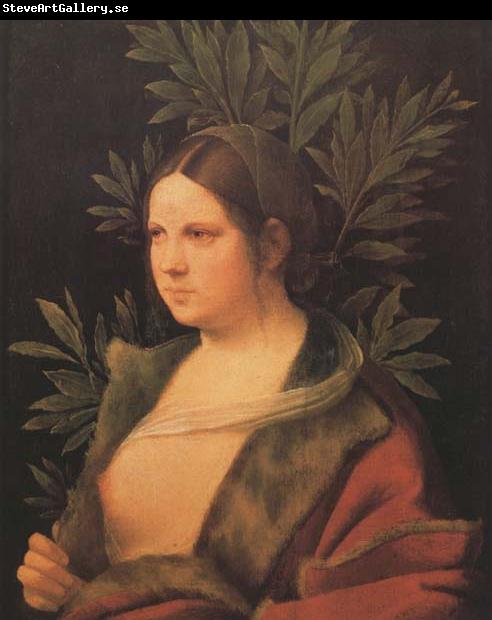 Giorgione Laura (MK45)