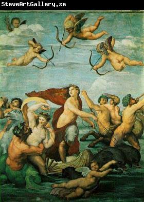 Raphael his only major mythology