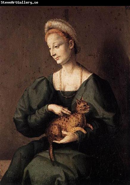 BACCHIACCA Woman with a Cat